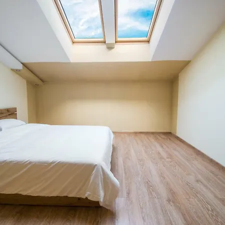 Spacious 2-bdr Loft In House - Old Town *